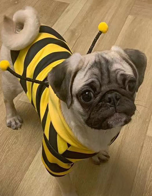 Load image into Gallery viewer, Pet Bee Halloween Costume Dog Hoodies Cat Holiday Cosplay Warm Clothes Puppy Cute Hooded Coat Christmas Outfits for Cat and Small Dogs (Yellow, X-Large)
