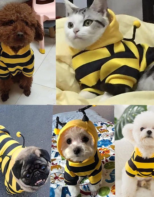 Load image into Gallery viewer, Pet Bee Halloween Costume Dog Hoodies Cat Holiday Cosplay Warm Clothes Puppy Cute Hooded Coat Christmas Outfits for Cat and Small Dogs (Yellow, X-Large)
