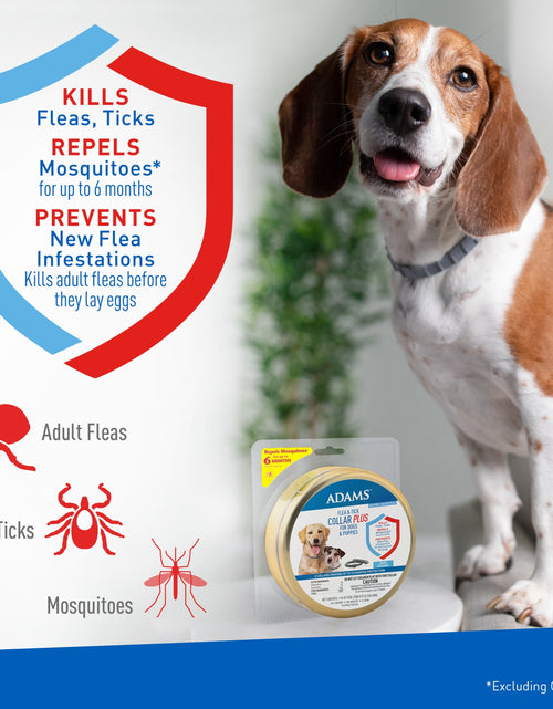 Load image into Gallery viewer, Flea &amp; Tick Collar plus for Dogs &amp; Puppies, 2 Collars, One Size
